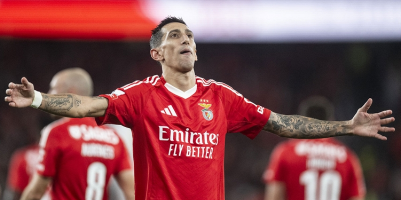 Pavlidis’s 2024/25 season: deeper look